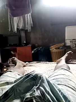 Javier 068 online show from 7, 4, 2026