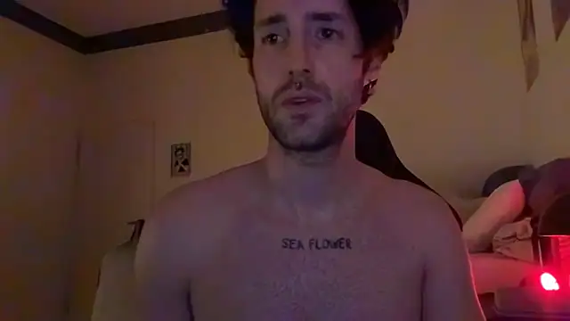 DESEXCAM online show from 12, 3, 2026