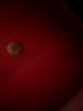 Snapshot of alexandruElena chatting on 28, 2, 2026 alexandruElena online show from 28, 2, 2026