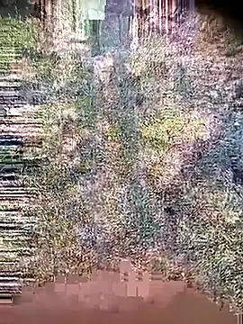 Ambala1 online show from 21, 4, 2026