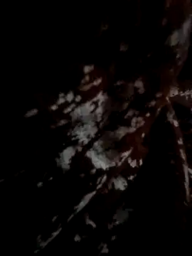 Couple hot999 online show from 4, 3, 2026