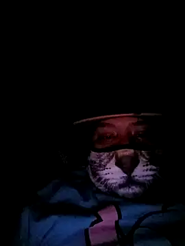 Snapshot of Charlygunslove chatting on 3, 3, 2026 Charlygunslove online show from 3, 3, 2026