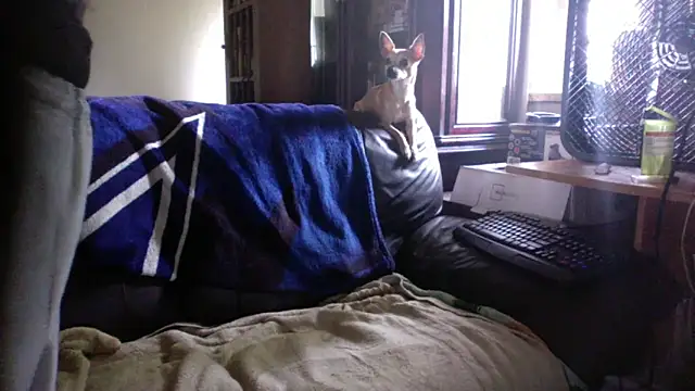 Snapshot of KinkyTOMan chatting on 10, 6, 2026 KinkyTOMan online show from 10, 6, 2026