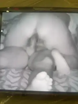 sharks90 online show from 14, 4, 2026