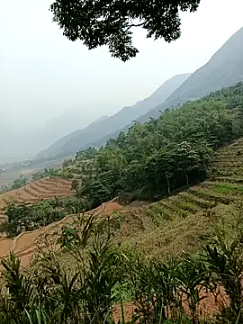 Yuhi3d online show from 14, 4, 2026