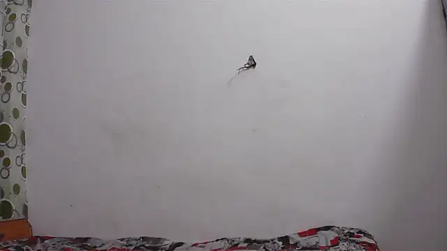 hard to do   online show from 11, 4, 2026