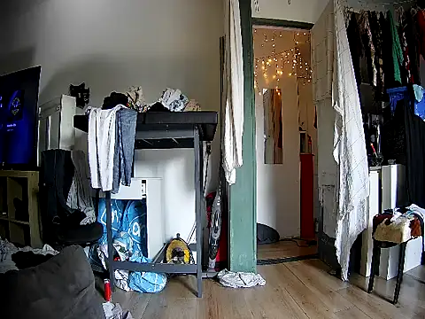 rudy25cm online show from 24, 3, 2026