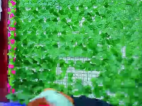 asshoney Abby online show from 7, 4, 2026