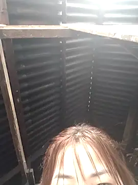 Sex fuck2 online show from 26, 3, 2026