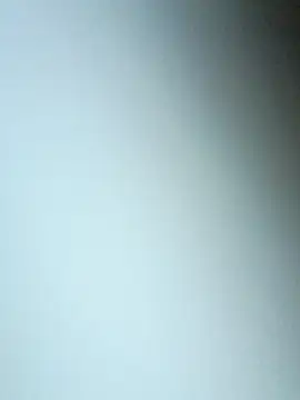 bojo888 online show from 19, 3, 2026