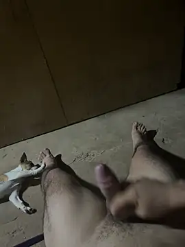 calientechicoloko online show from 26, 3, 2026