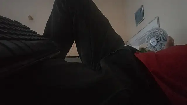 Sueliton2 online show from 16, 4, 2026