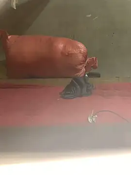 Sapphire-zz online show from 4, 4, 2026