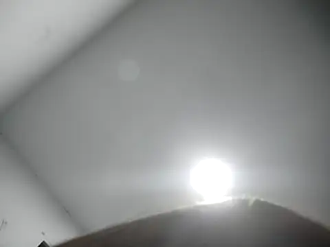 sexywolf10x online show from 1, 4, 2026