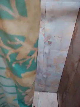 DosAlmasArdientesED online show from 20, 4, 2026