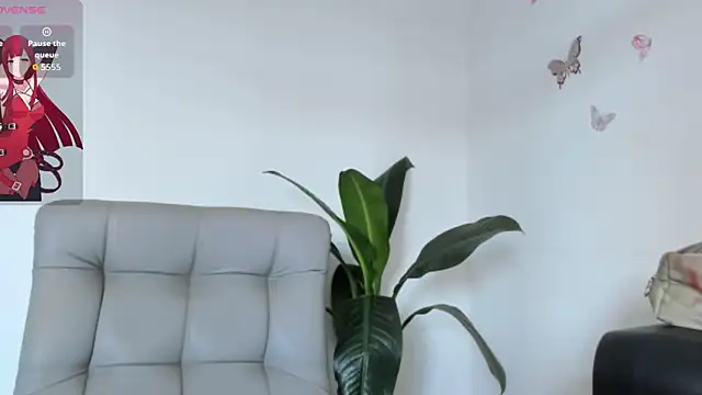 DakotaStills  online show from 29, 7, 2026