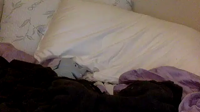 Snapshot of savannabanana chatting on 26, 3, 2026 savannabanana online show from 26, 3, 2026