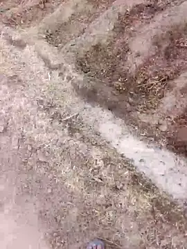 xmanraavan online show from 28, 3, 2026