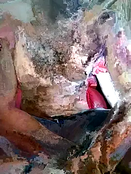 Snapshot of SteedyGee chatting on 27, 3, 2026 SteedyGee online show from 27, 3, 2026