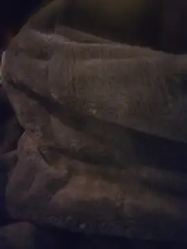 CocKtopus prim3 online show from 21, 4, 2026