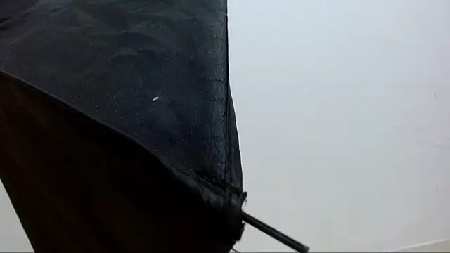 alejandrofoxnoir18 online show from 10, 4, 2026