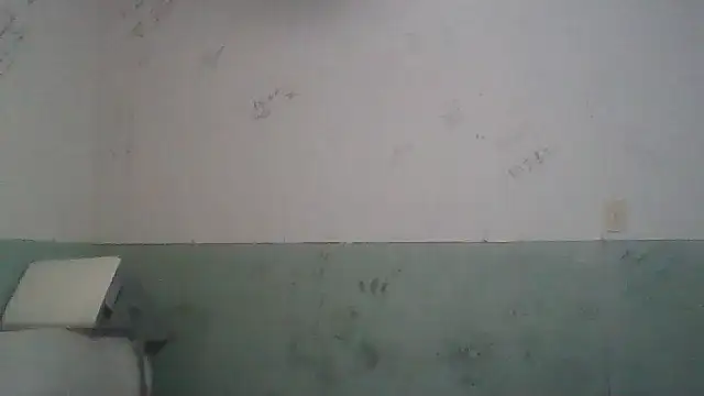 Toytroy197413 online show from 17, 4, 2026