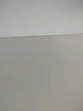 SnoozingThiamine online show from 6, 7, 2026