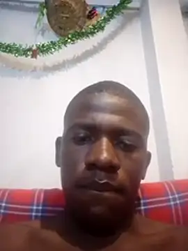 SENJE254 online show from 17, 7, 2026