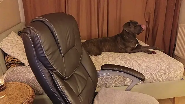 Sharon Red online show from 2, 12, 2024