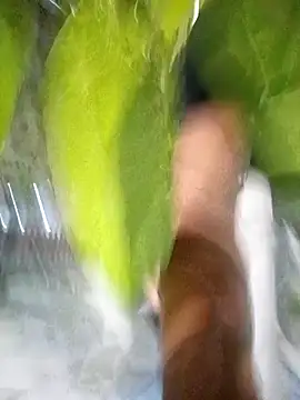 Snapshot of hot-daring chatting on 14, 4, 2026 hot-daring online show from 14, 4, 2026