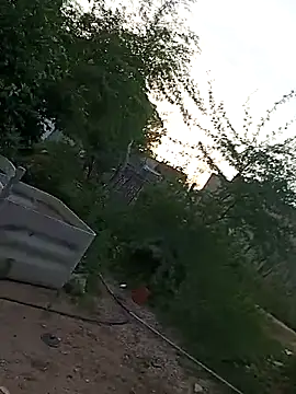  - - putinha - - online show from 20, 4, 2026