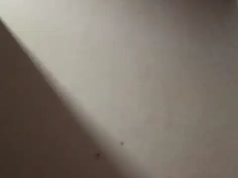 SL Uma online show from 19, 4, 2026