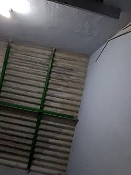 Snapshot of Tamil_Hot_HoneyBee chatting on 14, 6, 2026 Tamil Hot HoneyBee online show from 14, 6, 2026