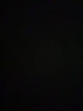 velvetpython online show from 5, 5, 2026