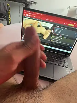 Wolf 18cm online show from 5, 7, 2026
