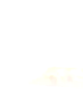 Marceksd online show from 29, 4, 2026
