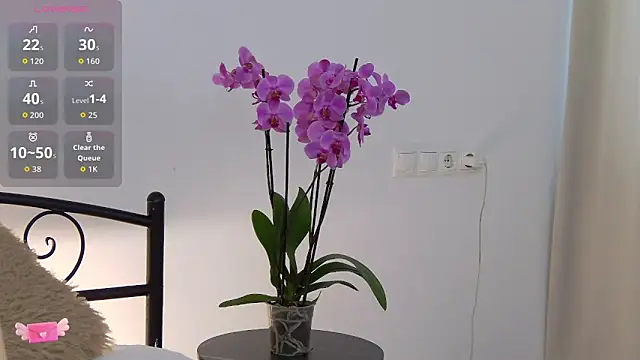 Snapshot of AnisLane chatting on 9, 5, 2026 AnisLane online show from 9, 5, 2026