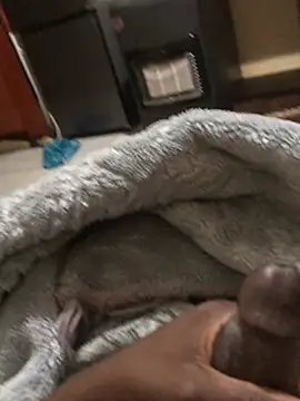 BIG DICK BOOGIE online show from 22, 6, 2026