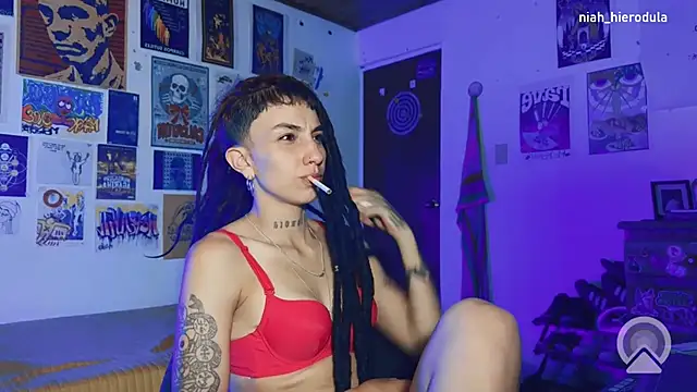 niah 11 online show from 26, 6, 2026