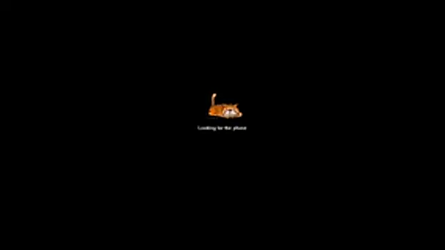 bella-diaz online show from 13, 7, 2026