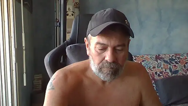 panda 06200 online show from 11, 7, 2026
