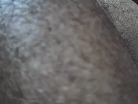 Snapshot of indiboy009 chatting on 14, 3, 2025 indiboy009 online show from 14, 3, 2025