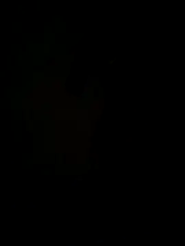 hook9sex online show from 11, 6, 2026