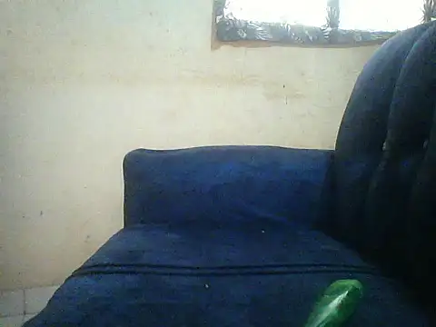 HomeBully online show from 8, 7, 2026
