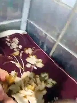 Deshi sexy online show from 10, 7, 2026