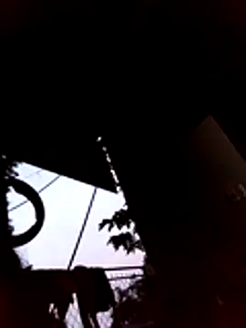 -milk-milk online show from 14, 7, 2026