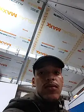 vector778 online show from 24, 6, 2026