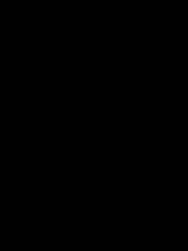 blackita online show from 4, 8, 2026