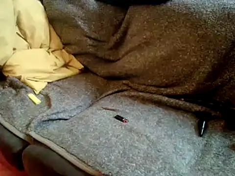 Snapshot of Truganini1 chatting on 22, 12, 2024 Truganini1 online show from 22, 12, 2024