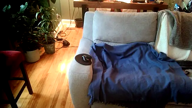 Truganini1 online show from 25, 5, 2026